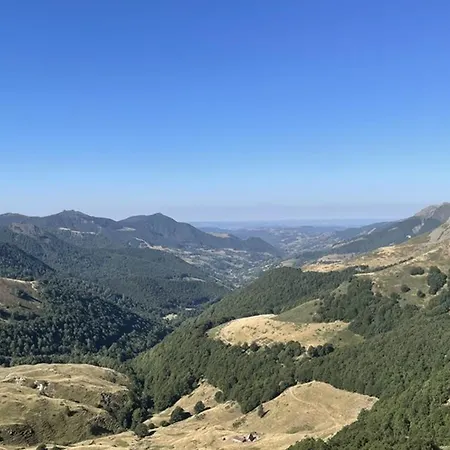 Apartamento Coquet Mezzanine Expose Sud Avec Animaux Admis - Fr-1-787-122 *