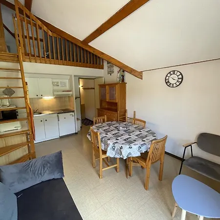 Coquet Mezzanine Expose Sud Avec Animaux Admis - Fr-1-787-122 * Laveissiere
