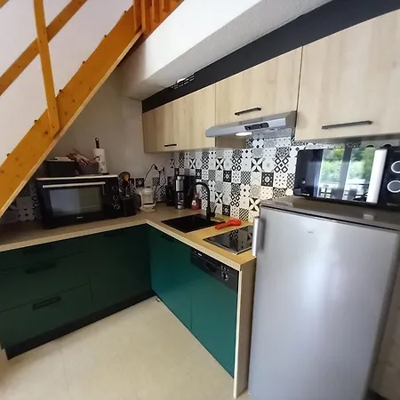 Apartamento Coquet Mezzanine Expose Sud Avec Animaux Admis - Fr-1-787-122