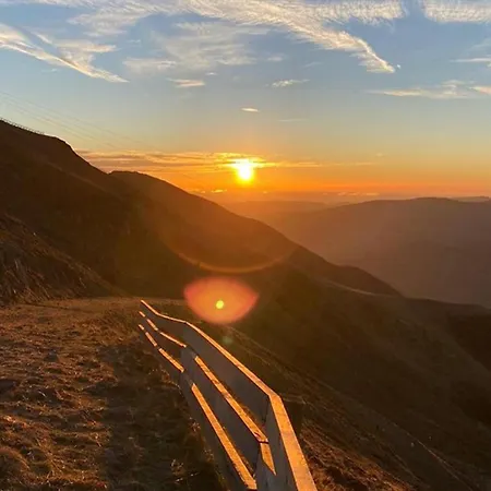 Coquet Mezzanine Expose Sud Avec Animaux Admis - Fr-1-787-122 * Laveissiere